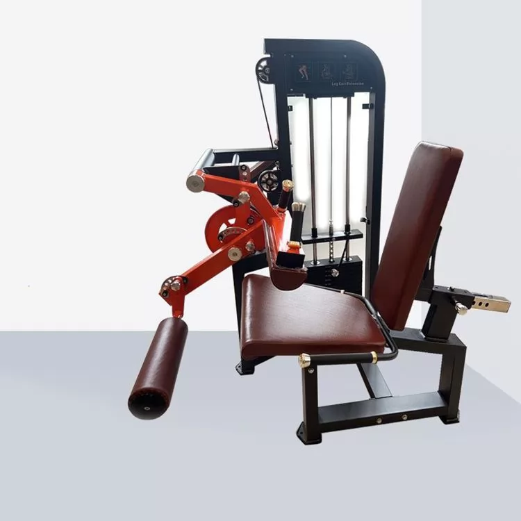 Prone Leg Curl Bending Extension Machine