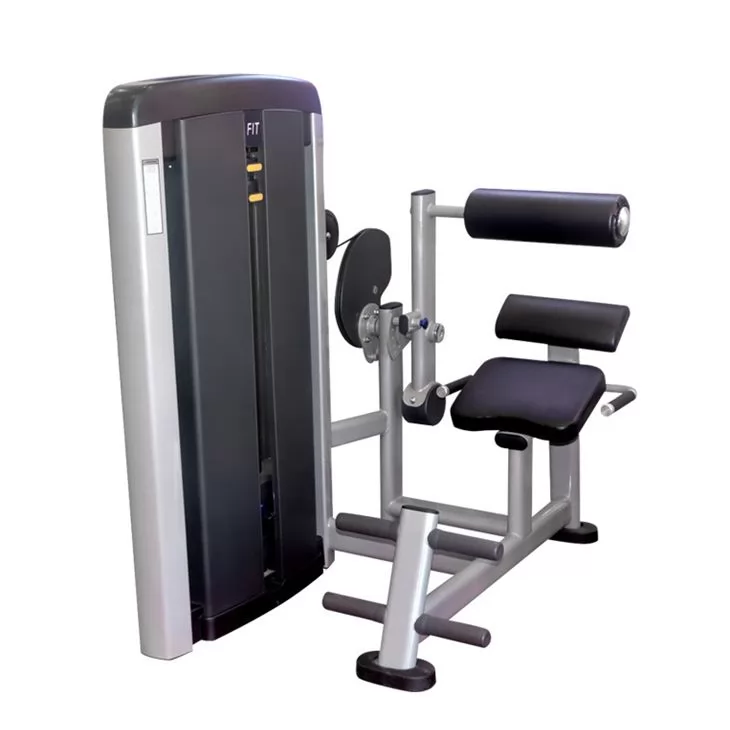 Seated Back Row Back Exercise Extension Machine