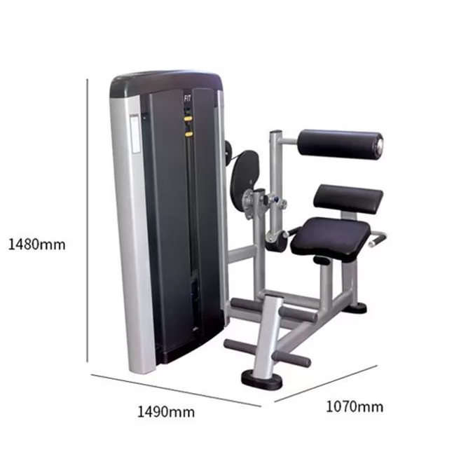 Seated Back Row Back Exercise Extension Machine