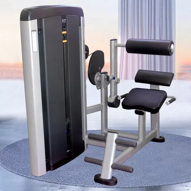 Seated Back Row Back Exercise Extension Machine