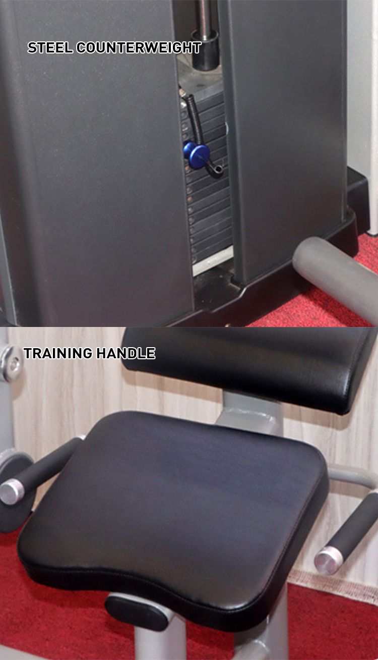 Seated Back Row Back Exercise Extension Machine