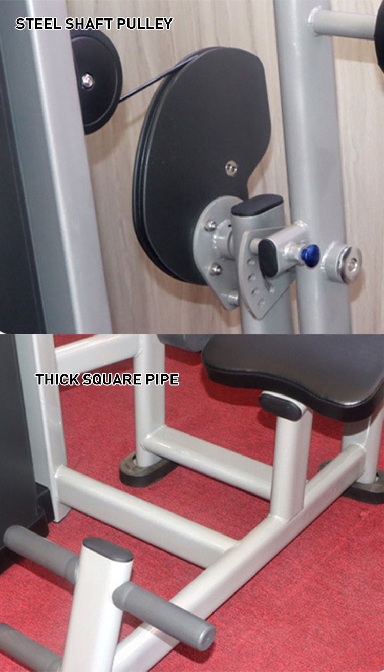 Seated Back Row Back Exercise Extension Machine