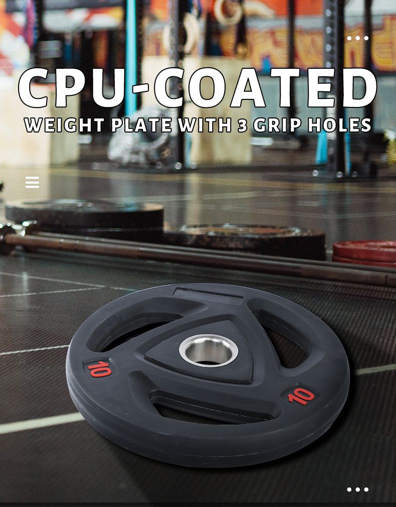 Rounded Barbell Weight Plate with 3 Grip Holes