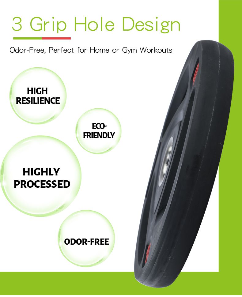 Rounded Barbell Weight Plate with 3 Grip Holes
